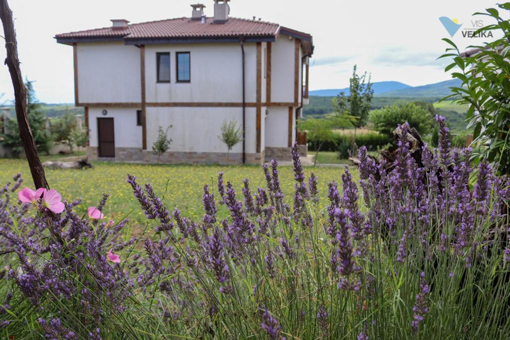 Bed and Breakfast Vis Velika Esterno foto