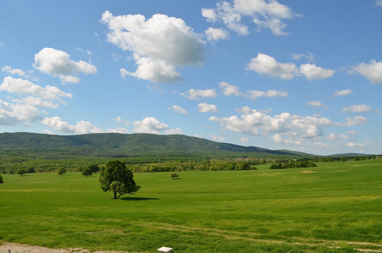 Bed and Breakfast Vis Velika Esterno foto