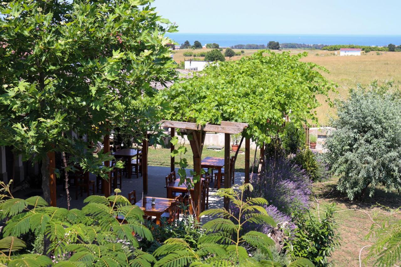 Bed and Breakfast Vis Velika Esterno foto